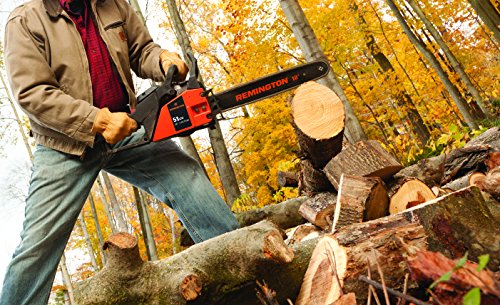 Chainsaw Buying Guide: What To Look For in a Chainsaw