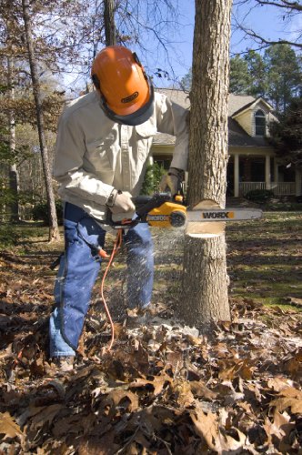 chainsaw tree trimming